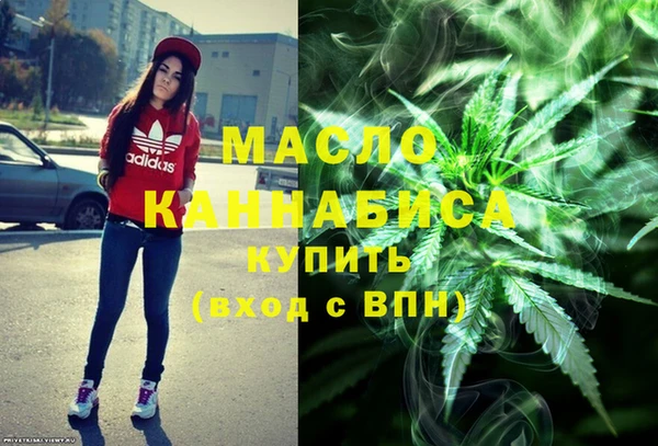 индика Абинск