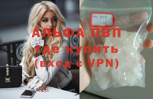 индика Абинск