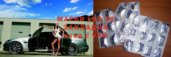 индика Абинск